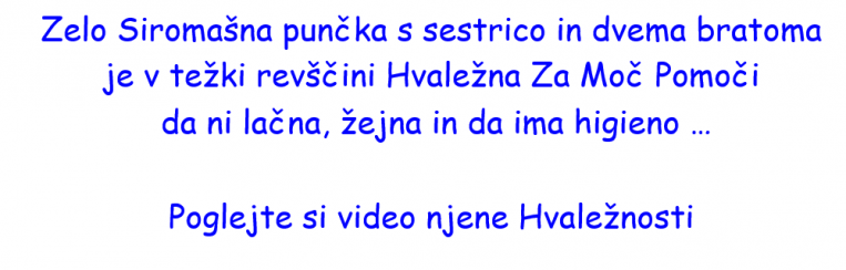 2 v11 2 v11
