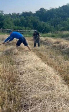 viber image 2025 09 02 22 03 57 214