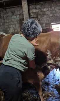 viber slika 2025 09 14 21 45 28 752